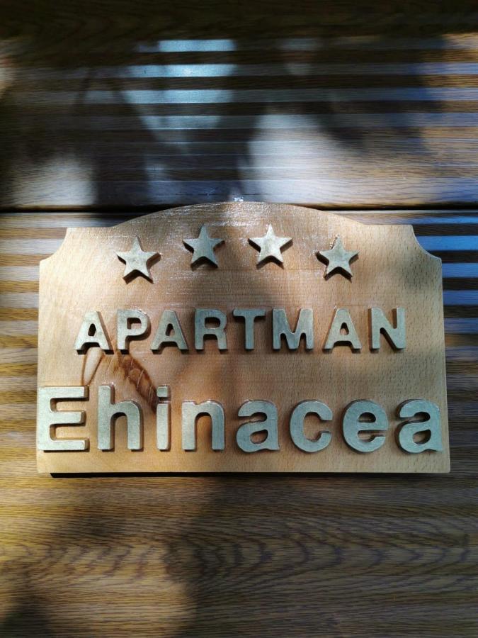 Ehinacea Apartment Ртан Екстериор снимка